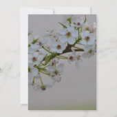 Witte bloeiende boom bruiloft kaart (Achterkant)