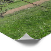 Witte bloeiende boom poster (Hoek)