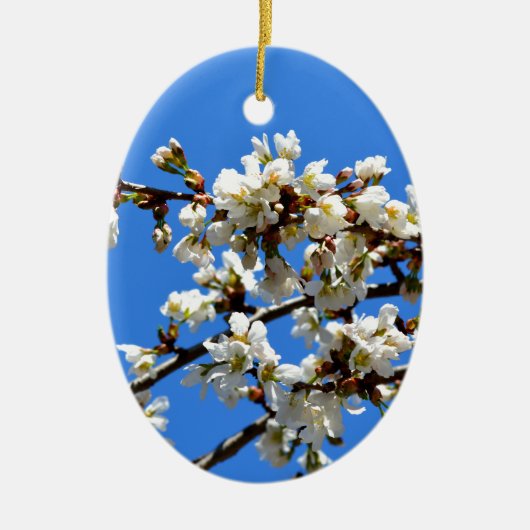 Witte bloeiende lenteboom witte bloesem keramisch ornament (Voorkant)
