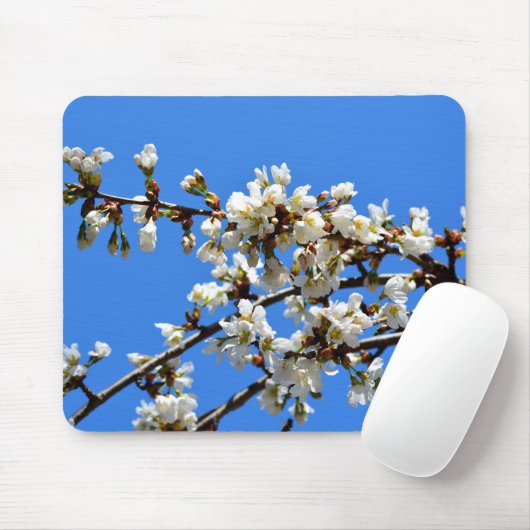 Witte bloeiende lenteboom witte bloesem muismat (Met muis)