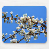 Witte bloeiende lenteboom witte bloesem muismat (Voorkant)