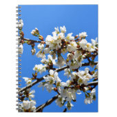 Witte bloeiende lenteboom witte bloesem notitieboek (Voorkant)
