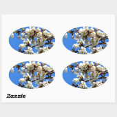 Witte bloeiende lenteboom witte bloesem ovale sticker (Vel)