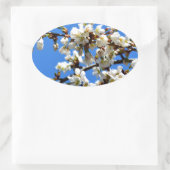 Witte bloeiende lenteboom witte bloesem ovale sticker (Tas)