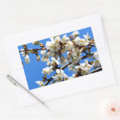 Witte bloeiende lenteboom witte bloesem rechthoekige sticker (Envelop)