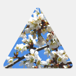 Witte bloeiende lenteboom witte bloesem sticker