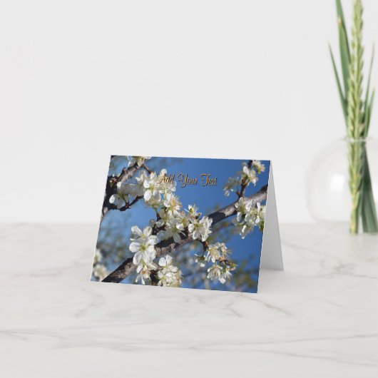 Witte bloeiende pruimenboomtak in de lente kaart (Voorkant)