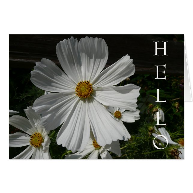 witte bloem (Voorkant Horizontaal)