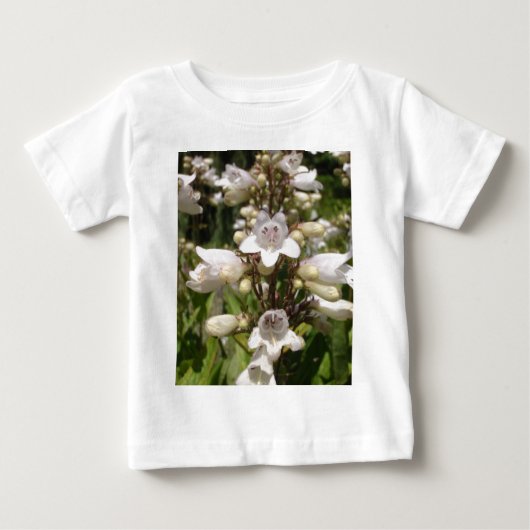 Witte Bloem (Voorkant)