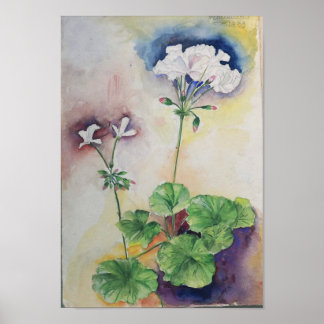 Witte Bloem Aquarel – Botanische Muurkunst Print