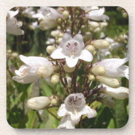 Witte Bloem Bier Onderzetter