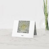Witte Bloem Blank Kaart (Achterkant)