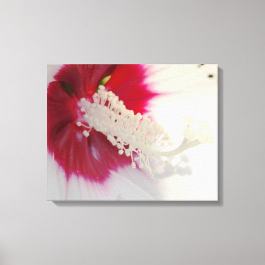 Witte Bloem Blossom Foto Enkele Print (Voorkant)