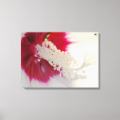 Witte Bloem Blossom Foto Enkele Print (Voorkant)