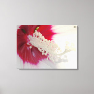 Witte Bloem Blossom Foto Enkele Print