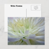 Witte bloem briefkaart (Voorkant / Achterkant)