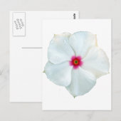 witte bloem briefkaart (Voorkant / Achterkant)