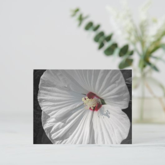 witte bloem briefkaart (Staand voorkant)