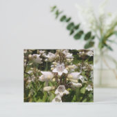 Witte Bloem Briefkaart (Staand voorkant)