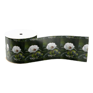 Witte bloem foto lint