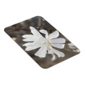 Witte bloem foto magneet (Rechterzijde)