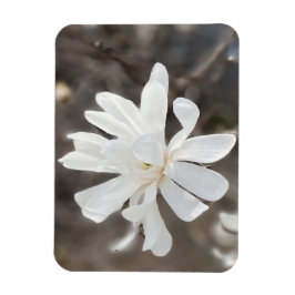 Witte bloem foto magneet