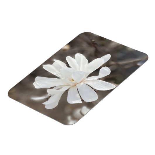 Witte bloem foto magneet (Linkerzijde)