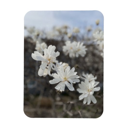 Witte bloem foto magneet (Verticaal)
