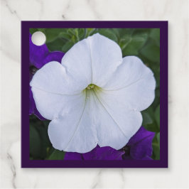 Witte Bloem Foto Schoonheid voor Assen Bijbelvers Bedankjes Labels