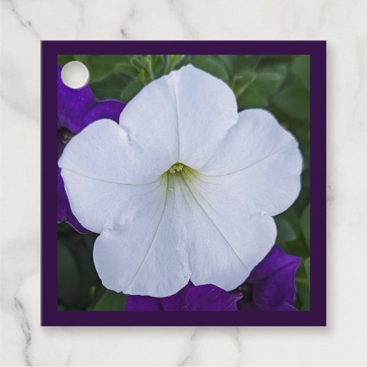 Witte Bloem Foto Schoonheid voor Assen Bijbelvers Bedankjes Labels (Voorkant)