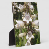 Witte Bloem Fotoplaat (Zijkant)