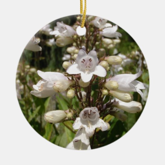 Witte Bloem Keramisch Ornament (Voorkant)