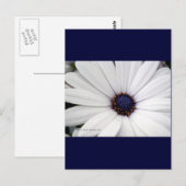 Witte bloem met blauw midden briefkaart (Voorkant / Achterkant)