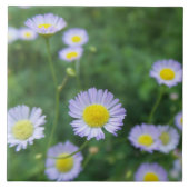 witte bloem met geel midden tegeltje (Voorkant)