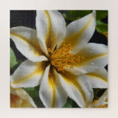 Witte bloem met gele accenten legpuzzel (Horizontaal)