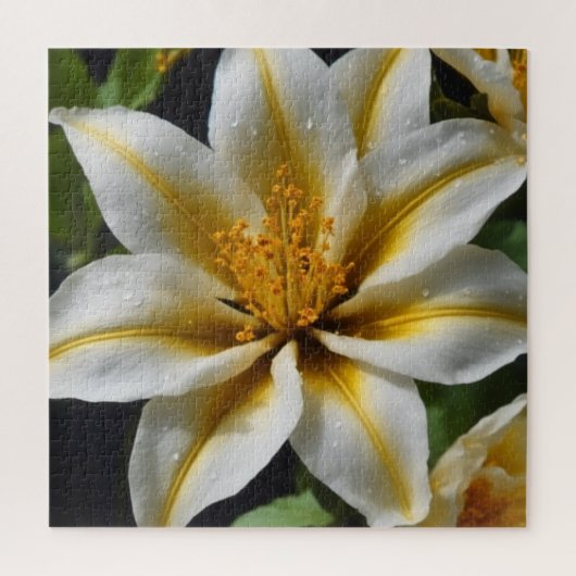 Witte bloem met gele accenten legpuzzel (Verticaal)