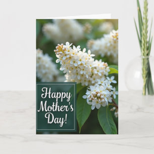 Witte Bloem Moederdagkaart Kaart