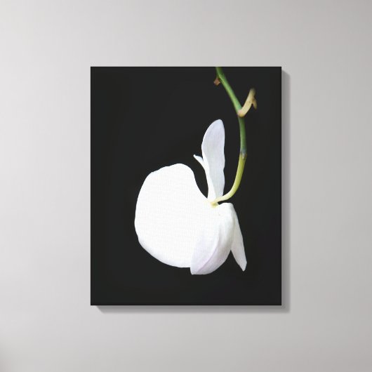 Witte bloem op zwart omwikkeld canvas afdruk (Voorkant)
