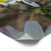 witte bloem poster (Hoek)