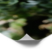 witte bloem poster (Hoek)