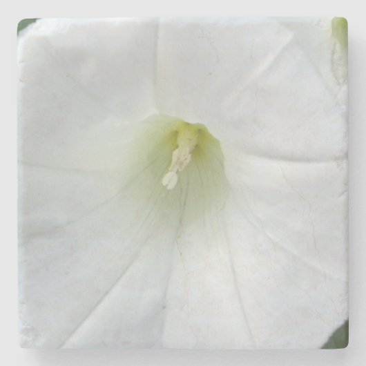 Witte Bloem Steen Coster Stenen Onderzetter (Voorkant)