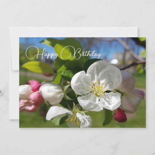Witte bloem van een appelboom. Happy Birthday Kaart (Voorkant)