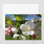 Witte bloem van een appelboom. Happy Birthday Kaart (Voorkant / Achterkant)