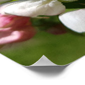 Witte bloem van een appelboom. lente poster (Hoek)