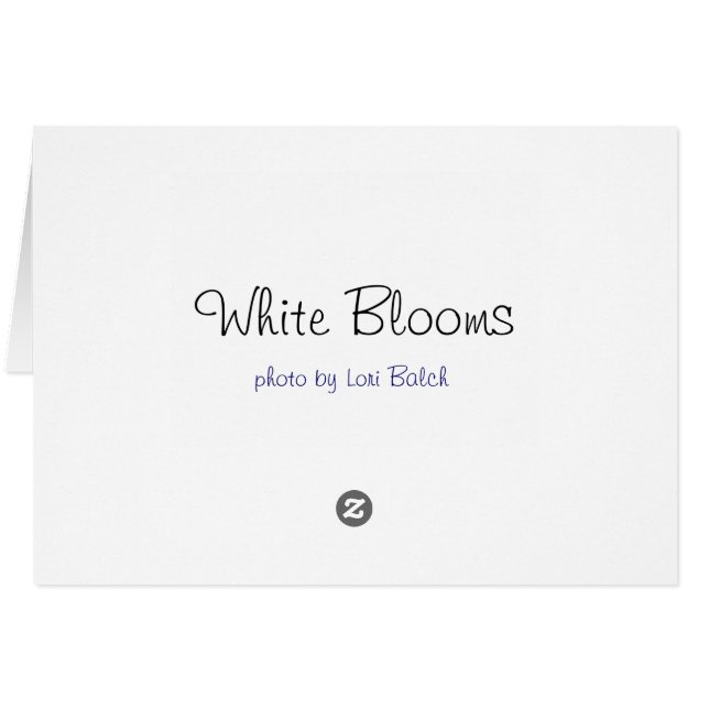 Witte bloemen (Achterkant Horizontaal)