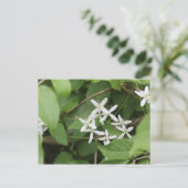 Witte bloemen #2 briefkaart (Staand voorkant)