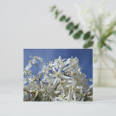 Witte bloemen, blauwe hemel briefkaart (Staand voorkant)