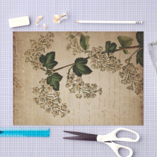 witte bloemen botanisch tissuepapier (Craft)