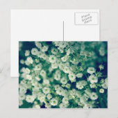 Witte bloemen briefkaart (Voorkant / Achterkant)