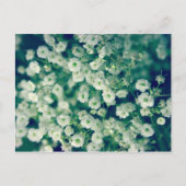 Witte bloemen briefkaart (Voorkant)